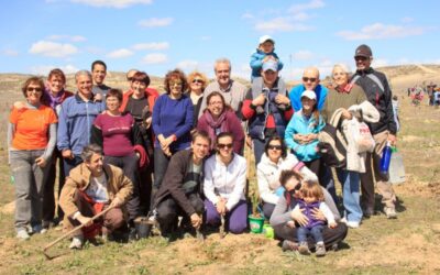 Día del arbol 2014